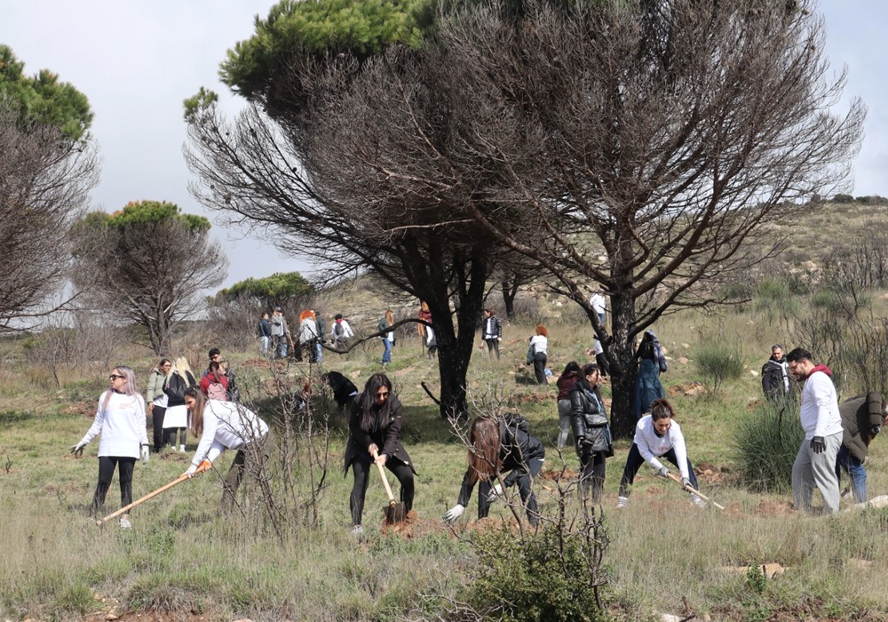 /media/dyrnwlne/anadasosi7.jpg?width=1000&height=700&center=0,5,0,5&mode=crop