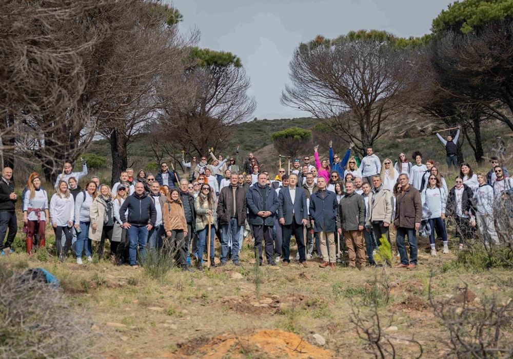 150 άνθρωποι της Παπαστράτος φύτευσαν τα πρώτα 800 δέντρα στο Δήμο Πεντέλης στην έναρξη της Β΄φάσης του µεγάλου Προγράµµατος Αναδάσωσης