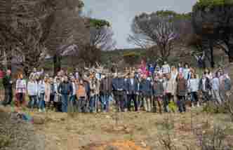 Papastratos Anadasosi