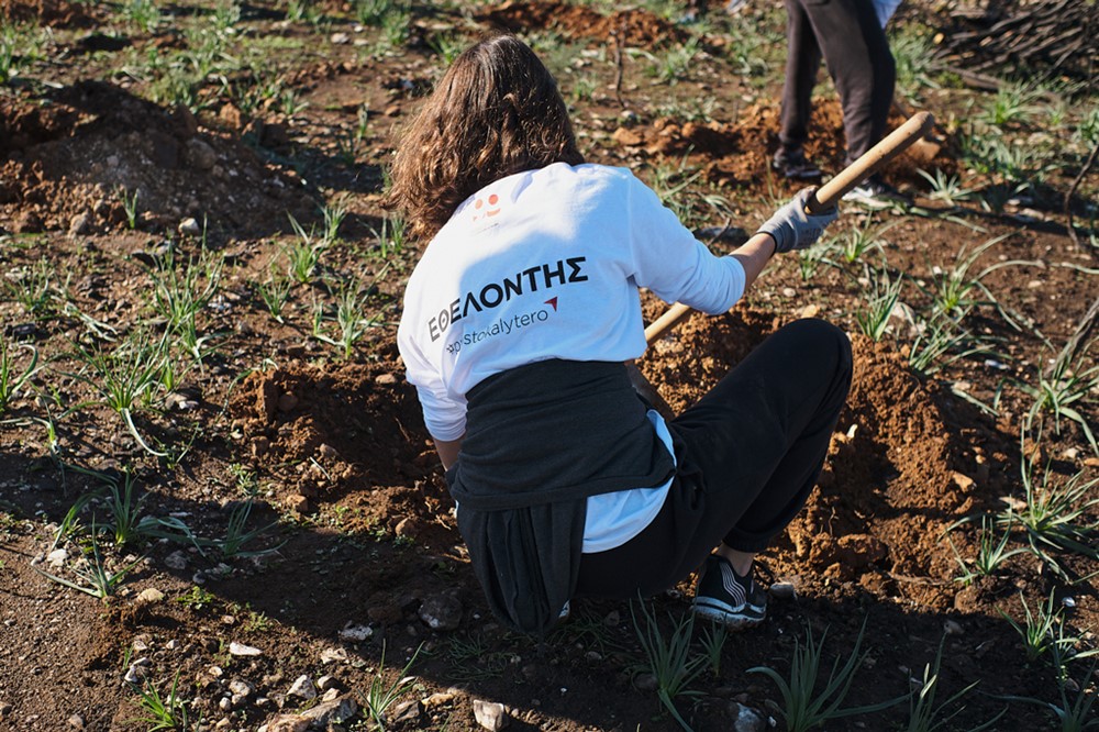 /media/nqcp4wov/anadasosi4.jpeg?width=1000&height=700¢er=0,437242188109046,0,503386004514673&mode=crop