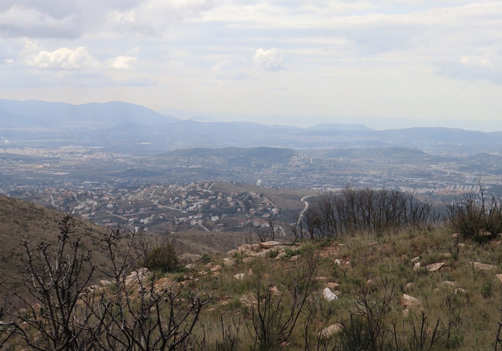 /media/oeldrqa1/anadasosi6.jpg?width=1000&height=700&center=0,5,0,5&mode=crop