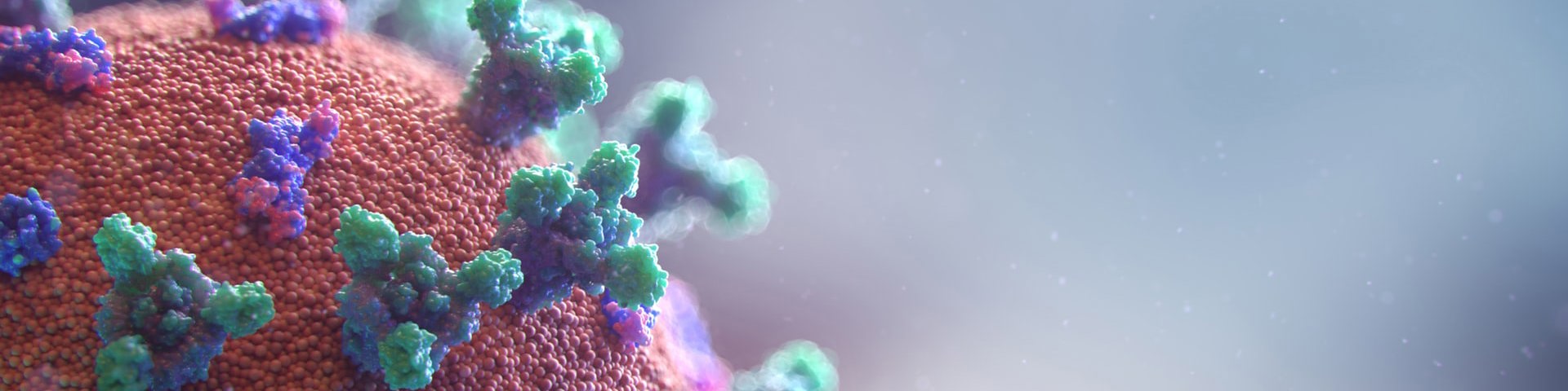 virus
